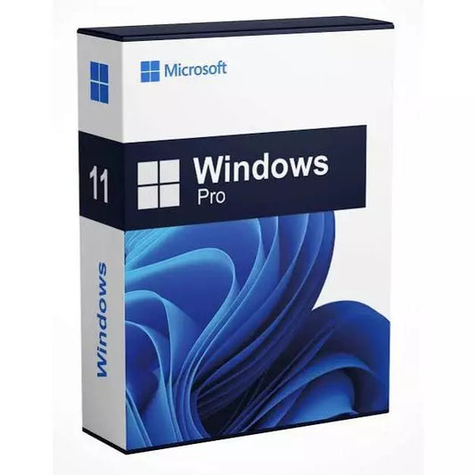 Windows 11 Pro